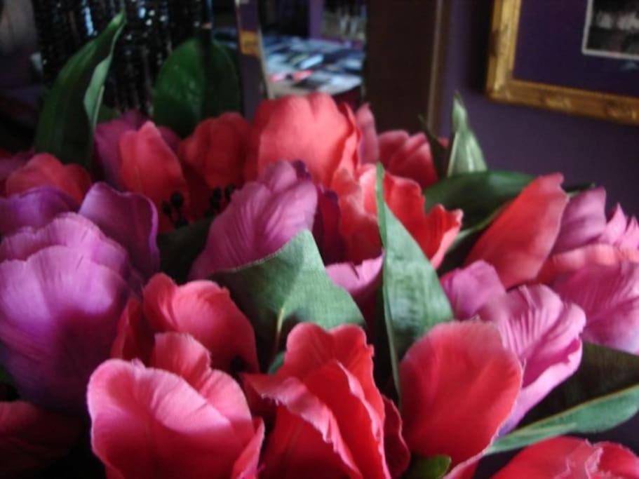 Morada Das Flores Порту Алегри Екстериор снимка
