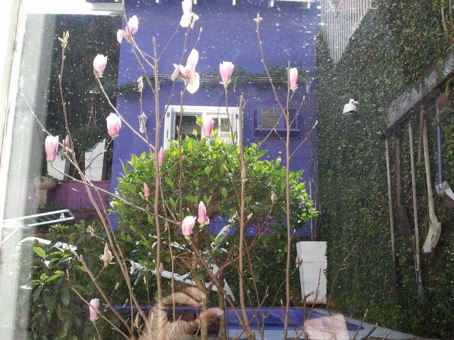 Morada Das Flores Порту Алегри Екстериор снимка